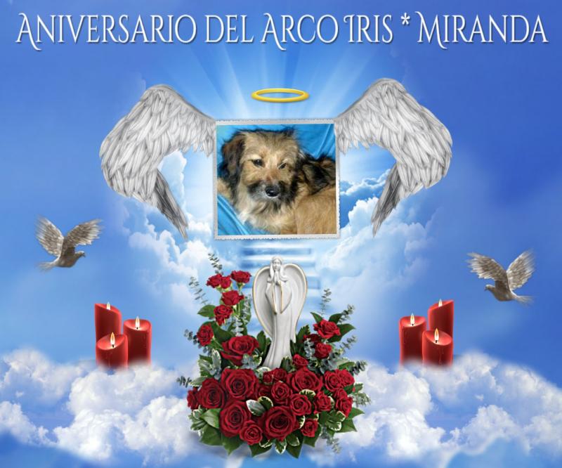 Miranda of the SephyJ83 family