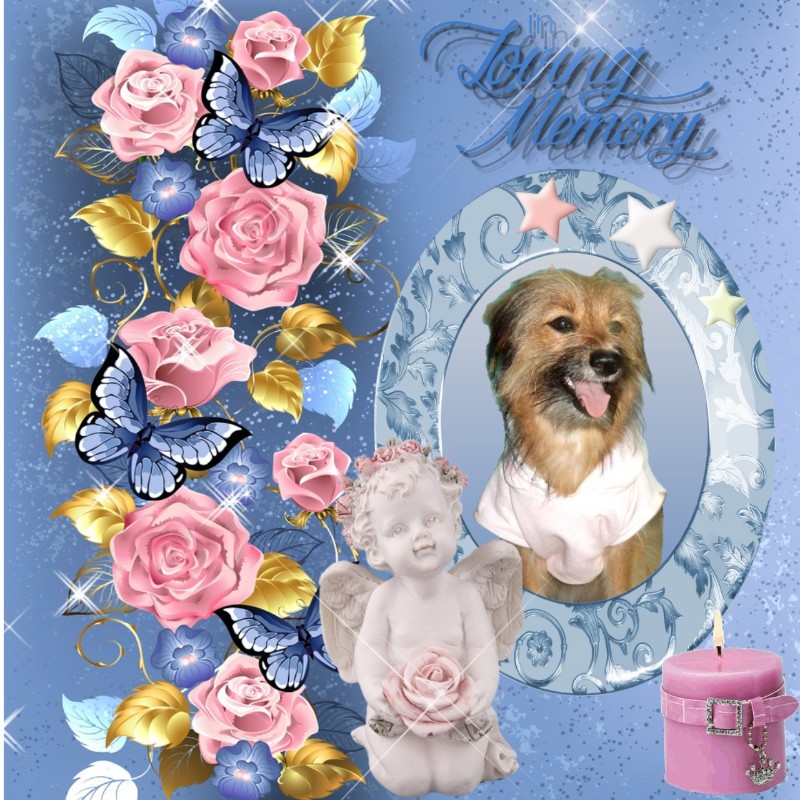 Miranda of the SephyJ83 family