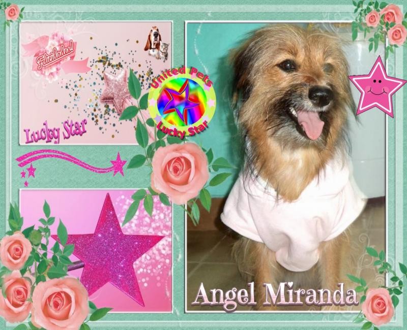 Miranda of the SephyJ83 family