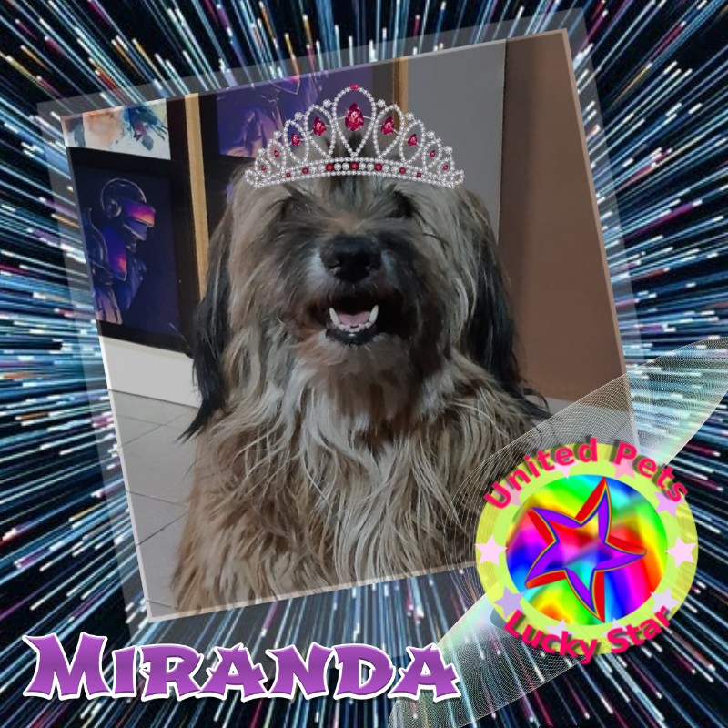 Miranda of the SephyJ83 family