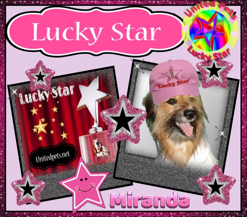 Miranda of the SephyJ83 family