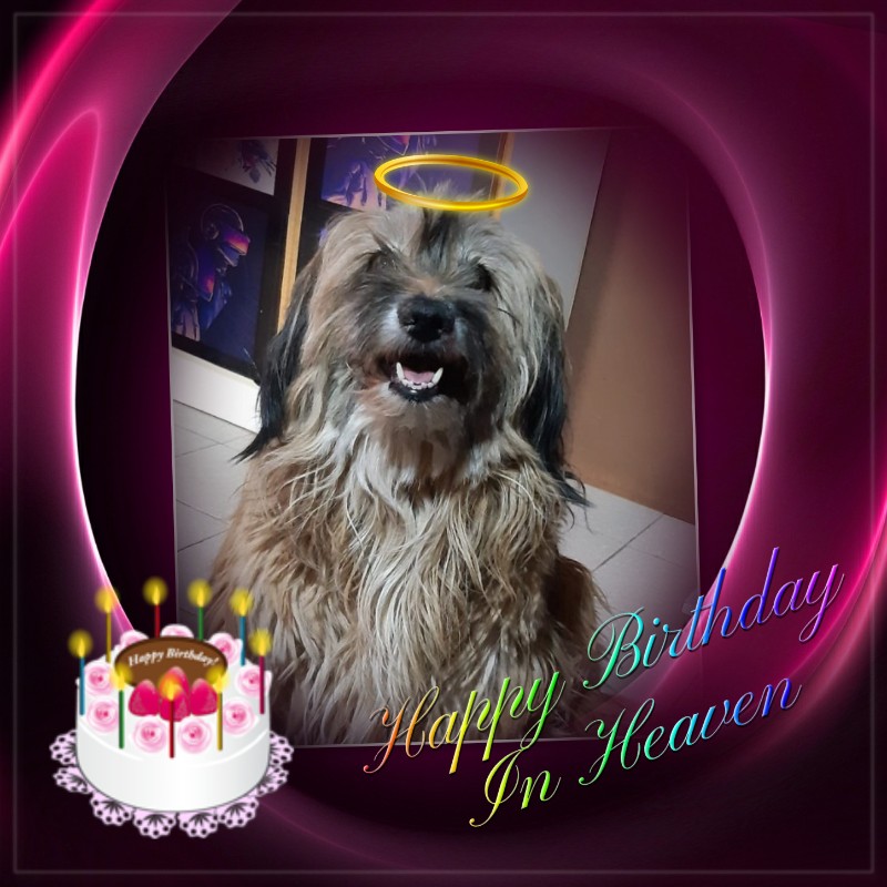 Miranda of the SephyJ83 family