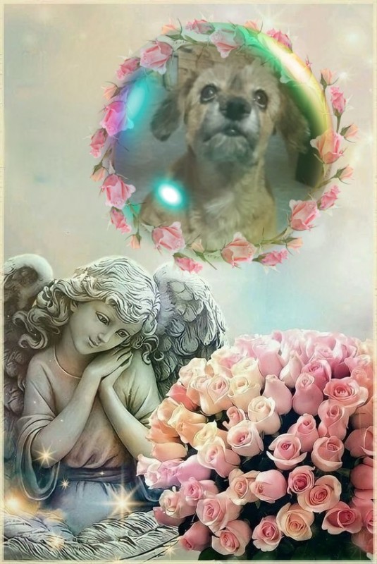 Miranda of the SephyJ83 family