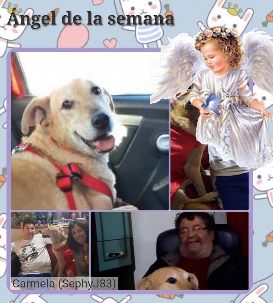 Carmela of the SephyJ83 family