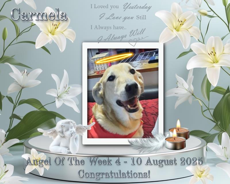 Carmela of the SephyJ83 family