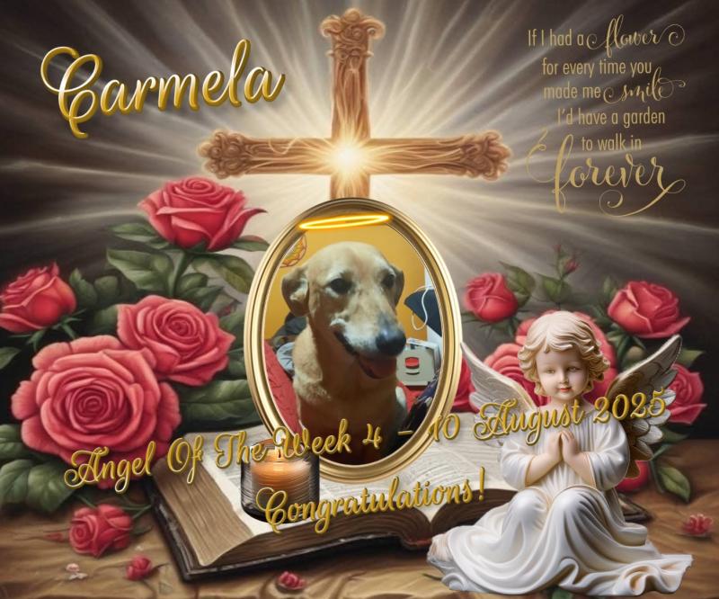 Carmela of the SephyJ83 family