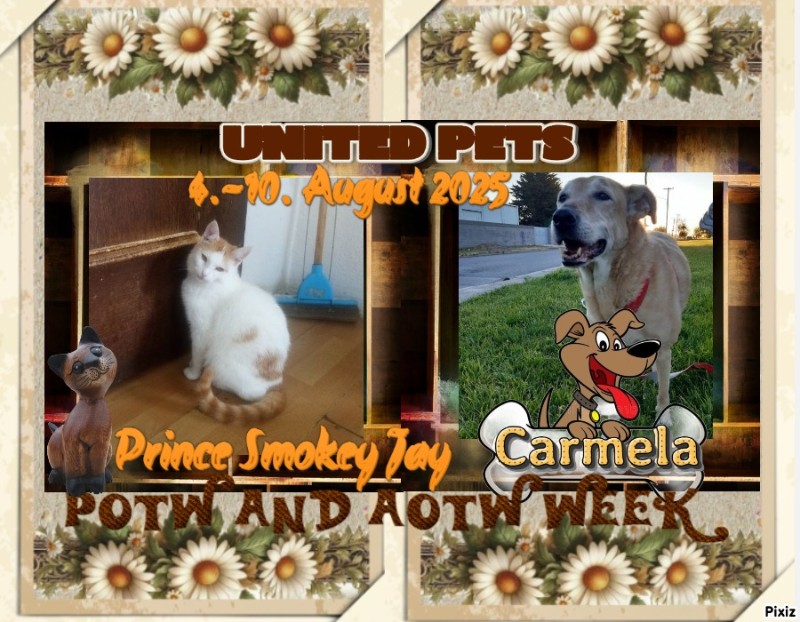 Carmela of the SephyJ83 family