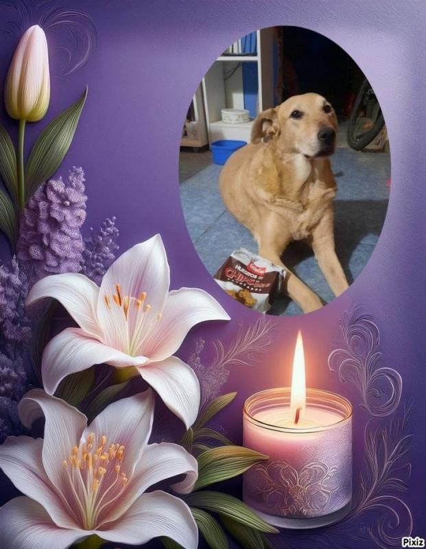 Carmela of the SephyJ83 family