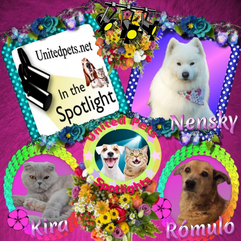 Rómulo of the SephyJ83 family