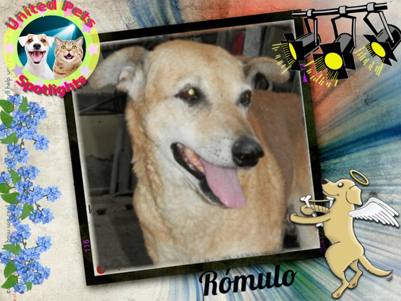 Rómulo of the SephyJ83 family