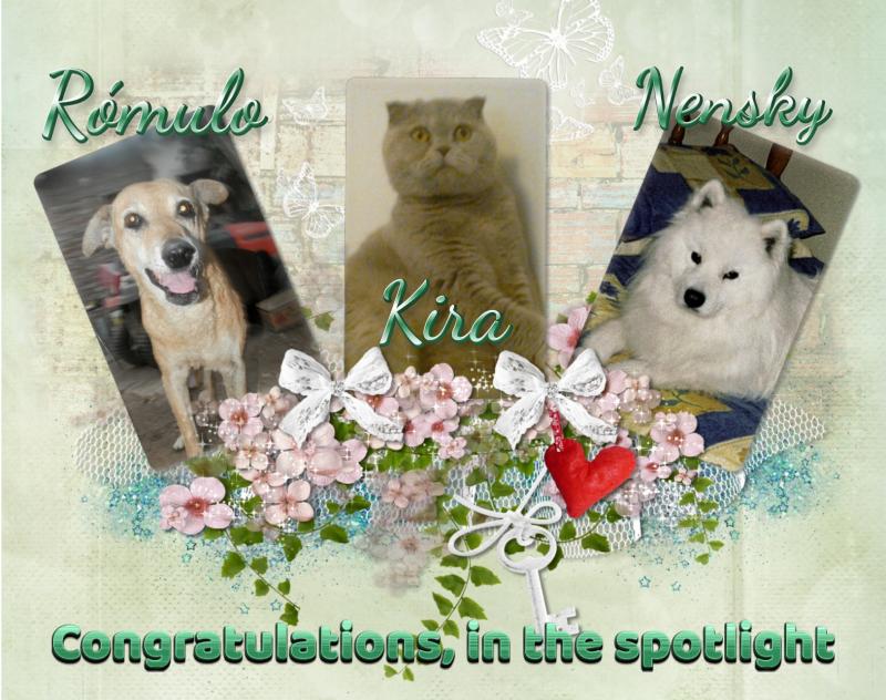 Rómulo of the SephyJ83 family