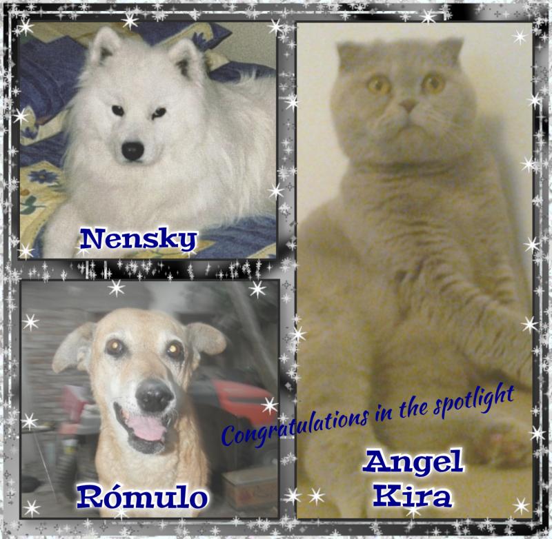 Rómulo of the SephyJ83 family