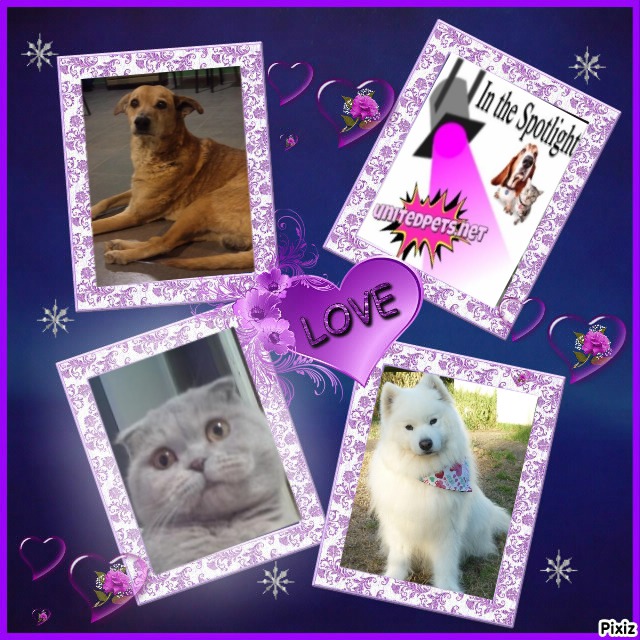 Rómulo of the SephyJ83 family