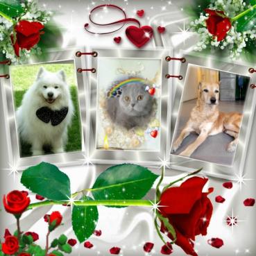 Rómulo of the SephyJ83 family