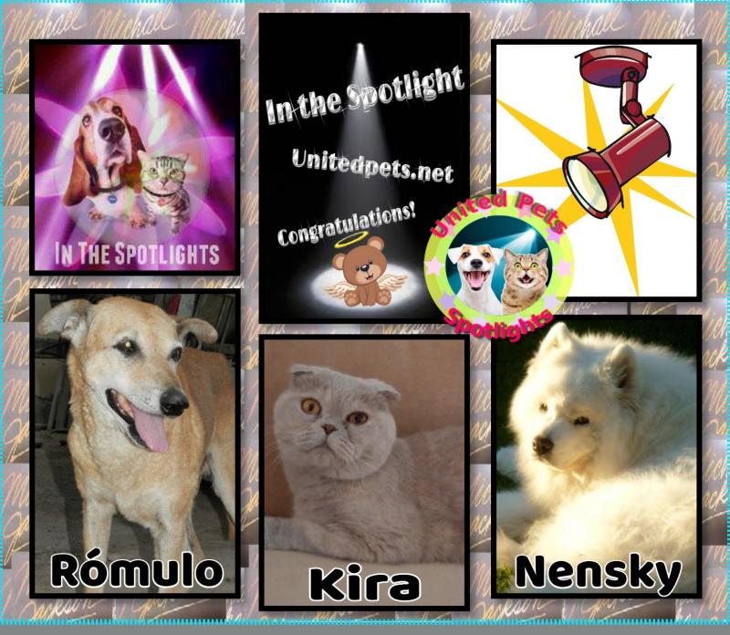 Rómulo of the SephyJ83 family