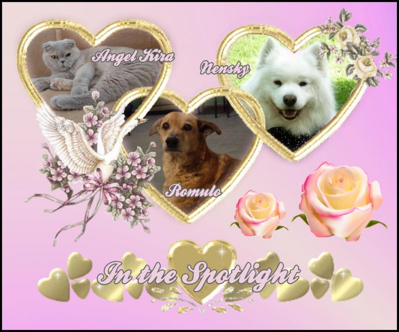 Rómulo of the SephyJ83 family