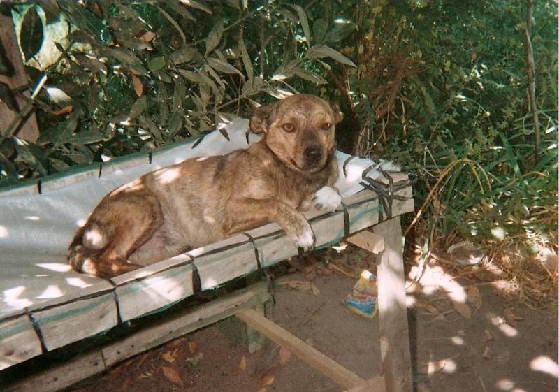 SephyJ83 uploaded   2 year/s ago