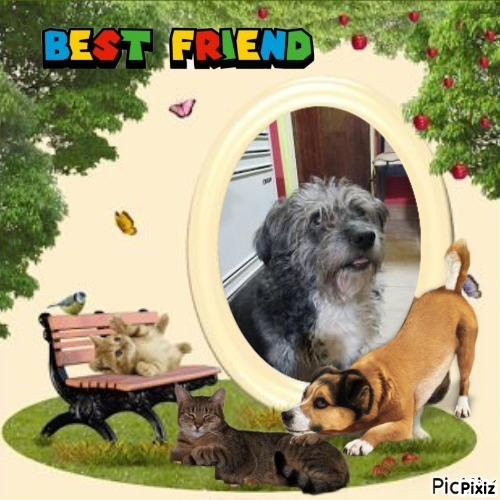 Segundo of the SephyJ83 family