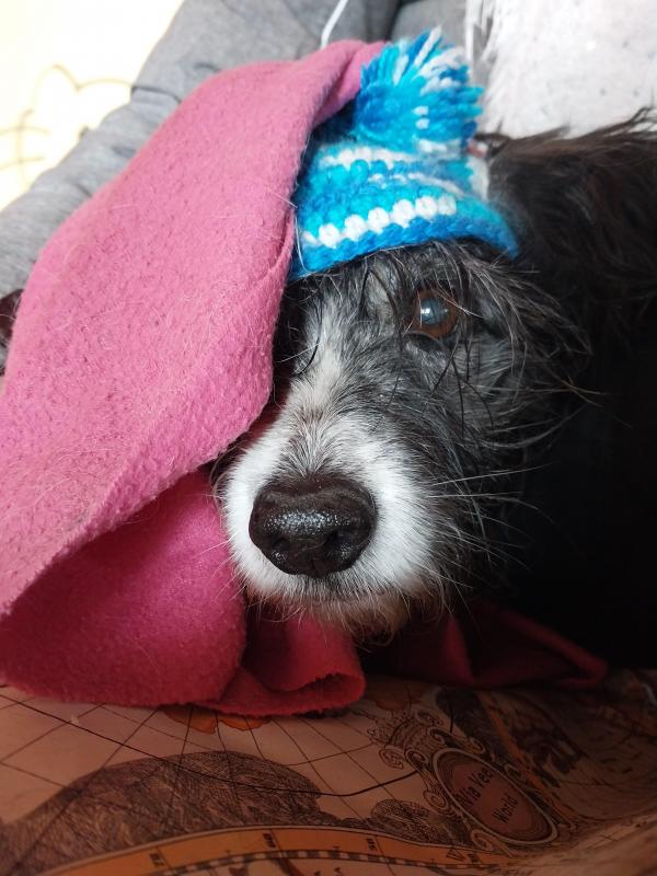 SephyJ83 uploaded   2 year/s ago