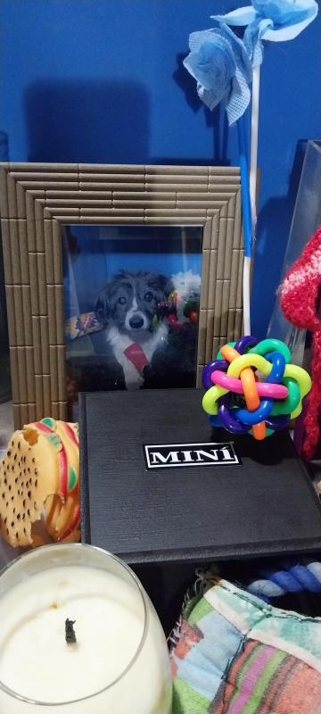 MinÃ­ of the SephyJ83 family