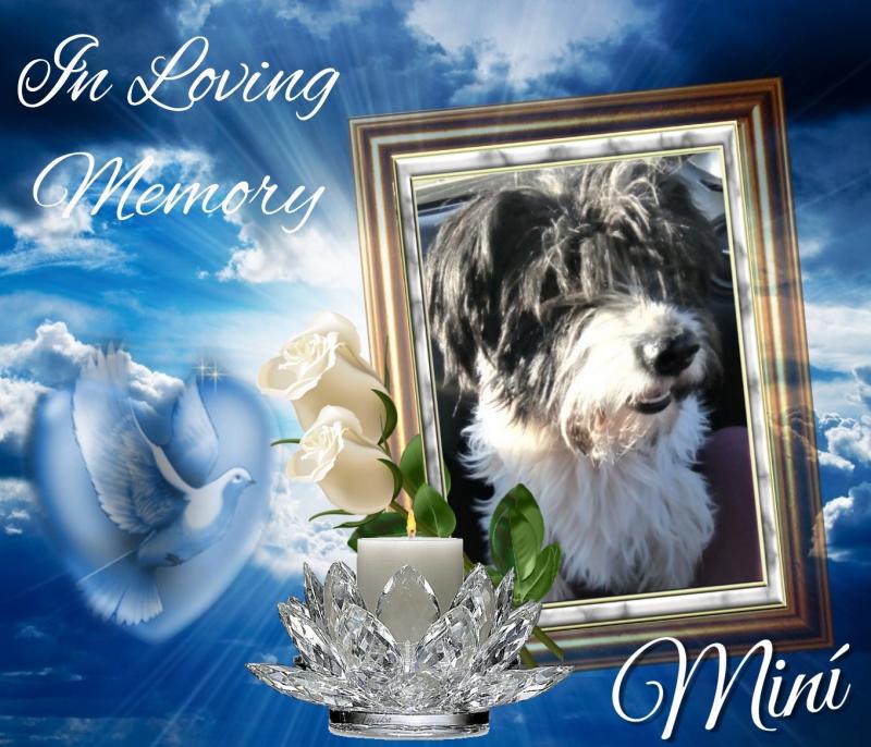 MinÃ­ of the SephyJ83 family