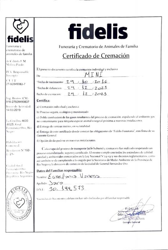 MinÃ­ of the SephyJ83 family