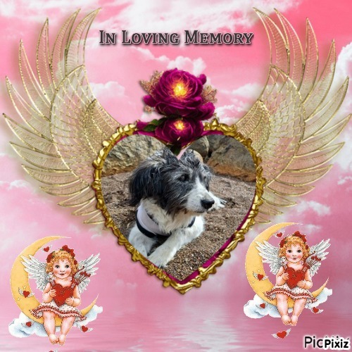 MinÃ­ of the SephyJ83 family