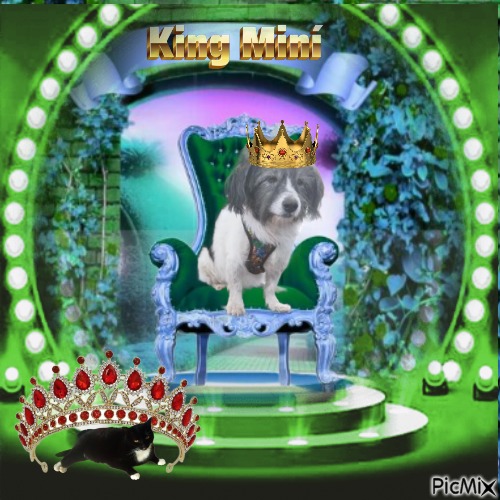 MinÃ­ of the SephyJ83 family