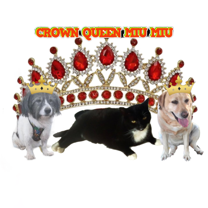 MinÃ­ of the SephyJ83 family