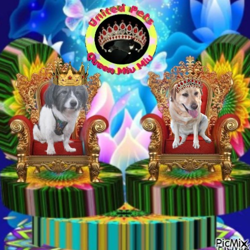 MinÃ­ of the SephyJ83 family