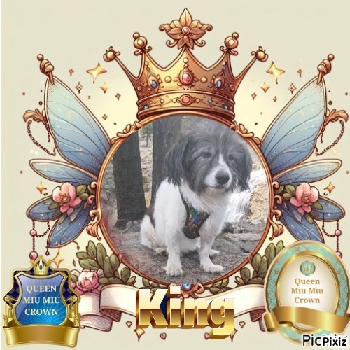 MinÃ­ of the SephyJ83 family