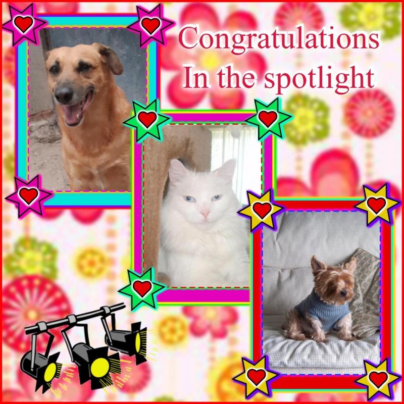 Federico of the SephyJ83 family