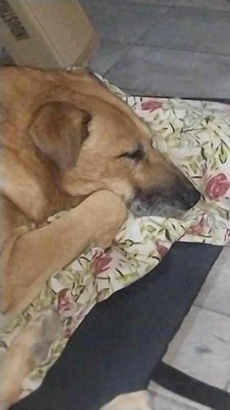 Federico of the SephyJ83 family