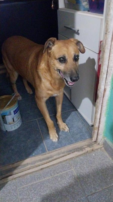 Federico of the SephyJ83 family