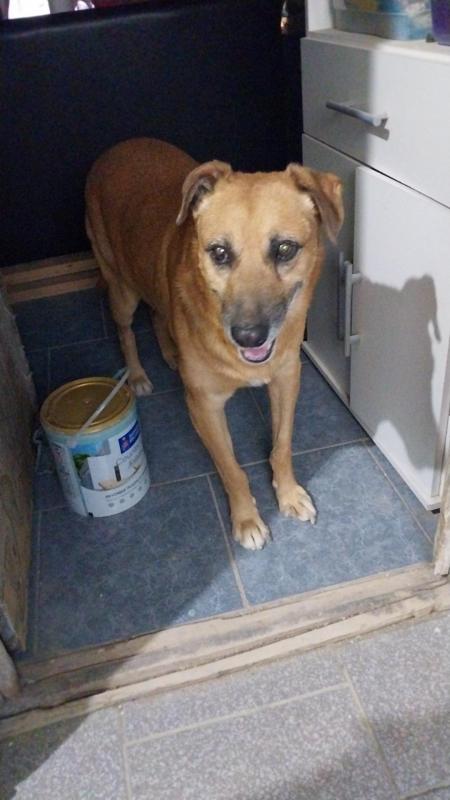 Federico of the SephyJ83 family