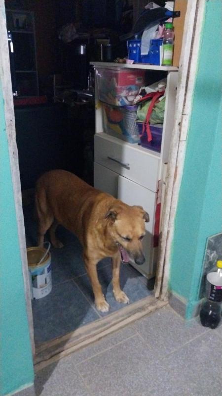 Federico of the SephyJ83 family