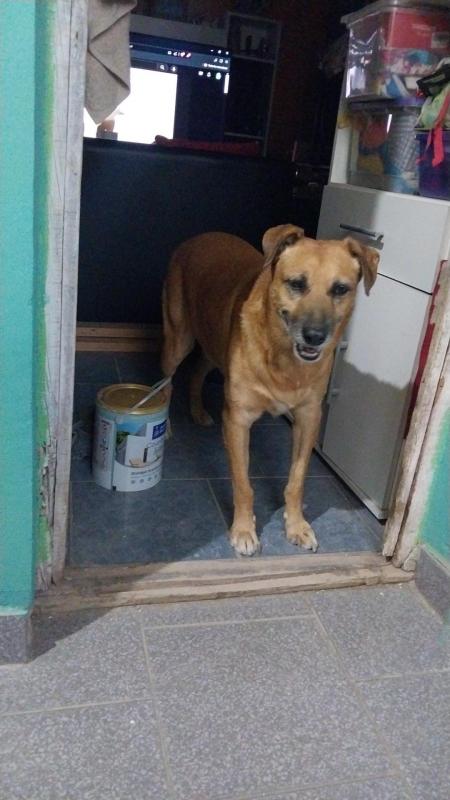 Federico of the SephyJ83 family