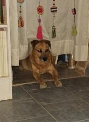 Federico of the SephyJ83 family