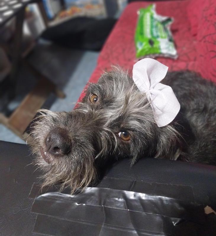 SephyJ83 uploaded   1 year/s ago