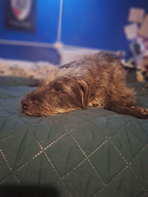 Pitufina of the SephyJ83 family