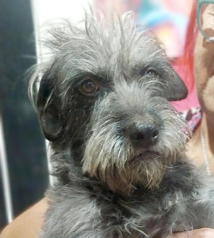 SephyJ83 uploaded   1 year/s ago