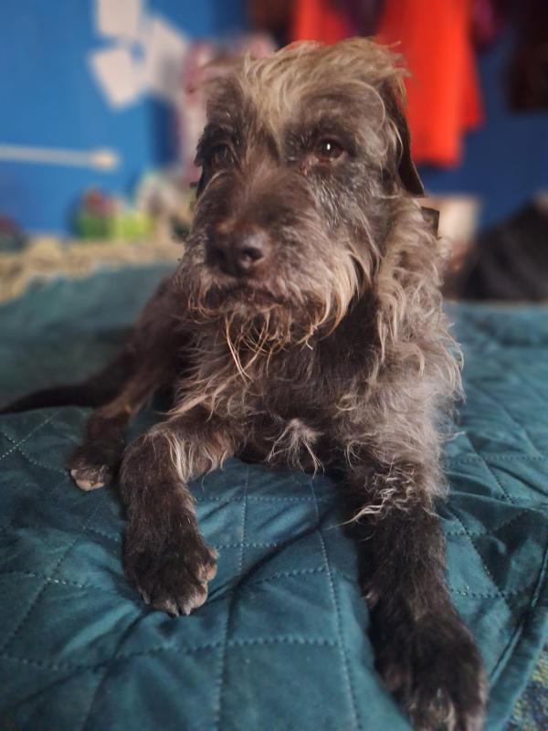 Pitufina of the SephyJ83 family