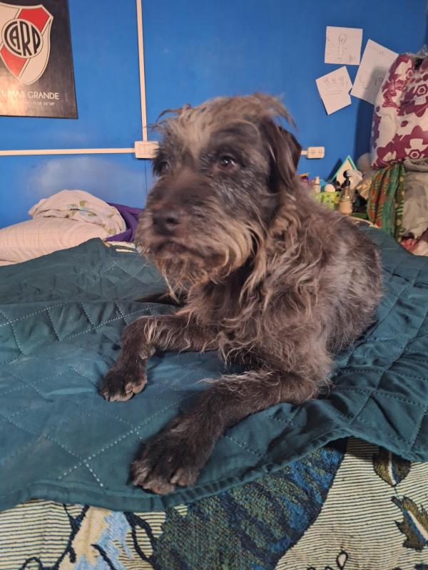 Pitufina of the SephyJ83 family