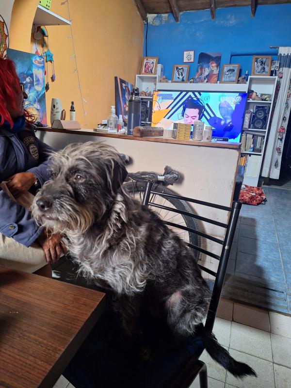 Pitufina of the SephyJ83 family