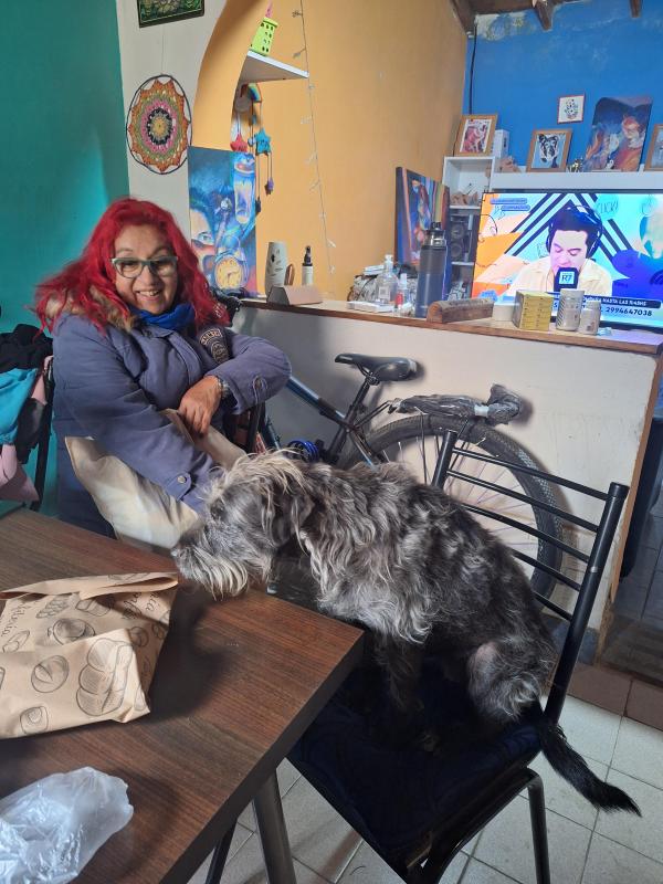 Pitufina of the SephyJ83 family