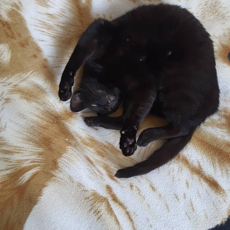 Shahorik uploaded   5 year/s ago