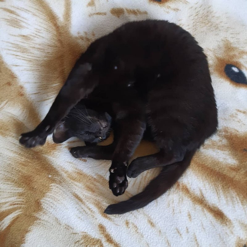 Shahorik uploaded   5 year/s ago