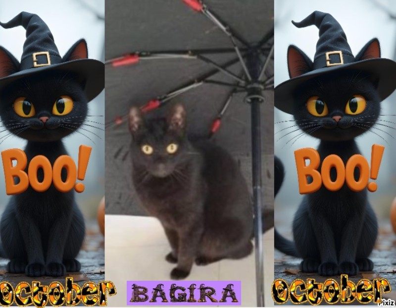 Bagira of the Shahorik family