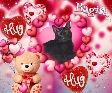 Bagira of the Shahorik family