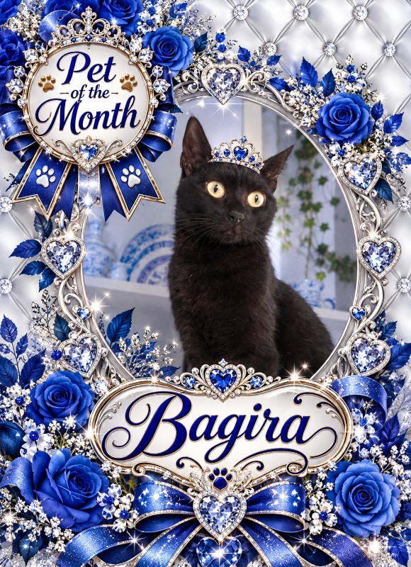 Bagira of the Shahorik family